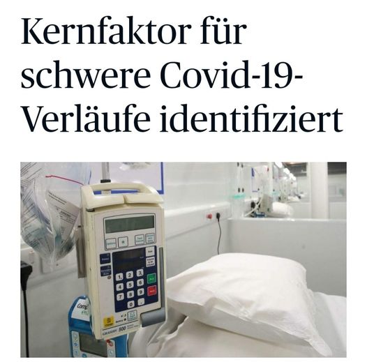 Die Presse Kernfaktor