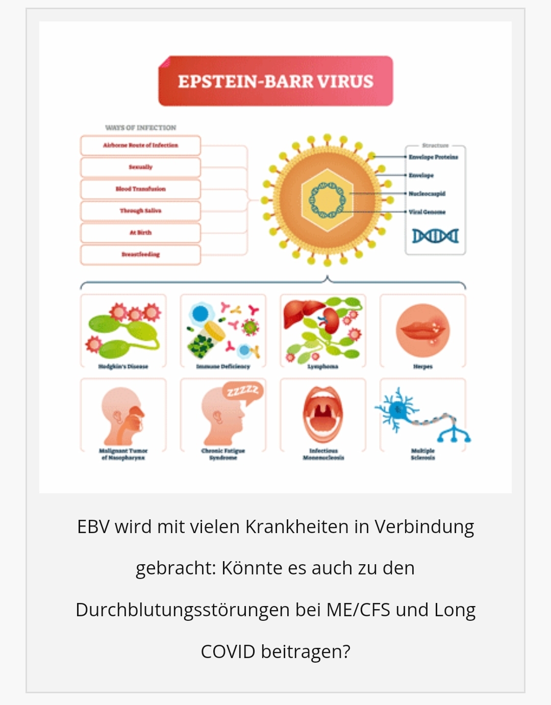 Healthrising Herpesviren 