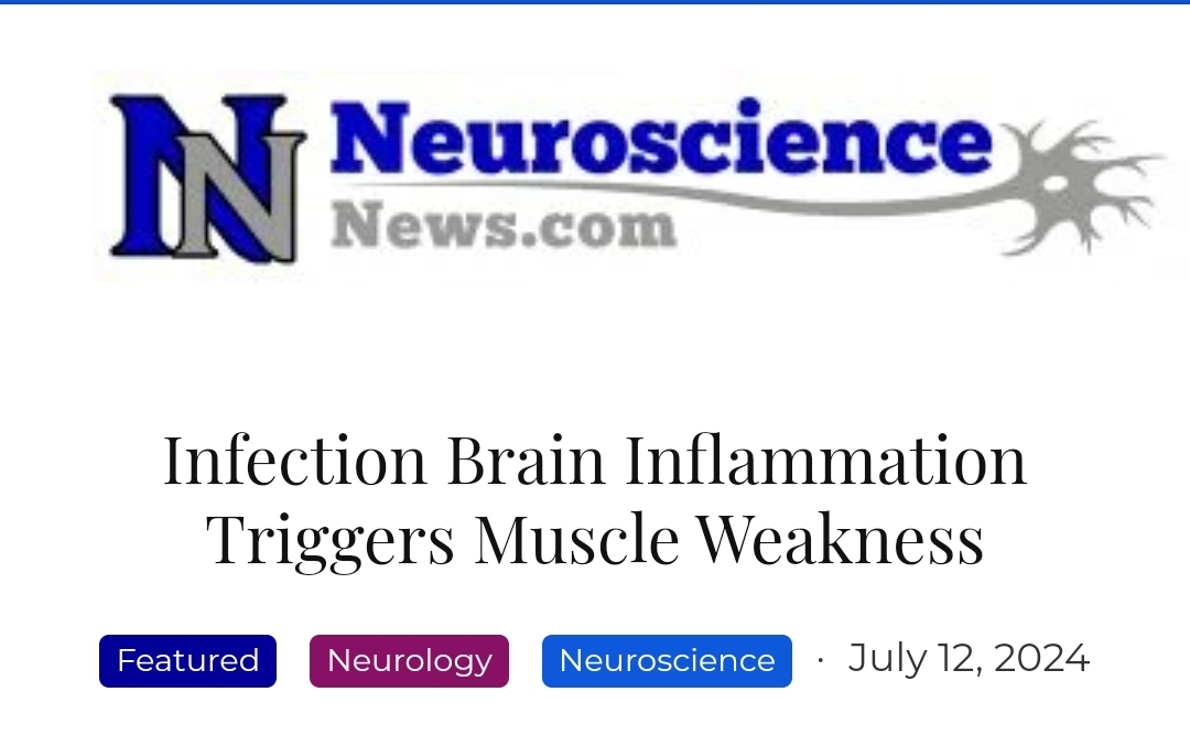 Neurosciencenews Infection Brain Inflammation