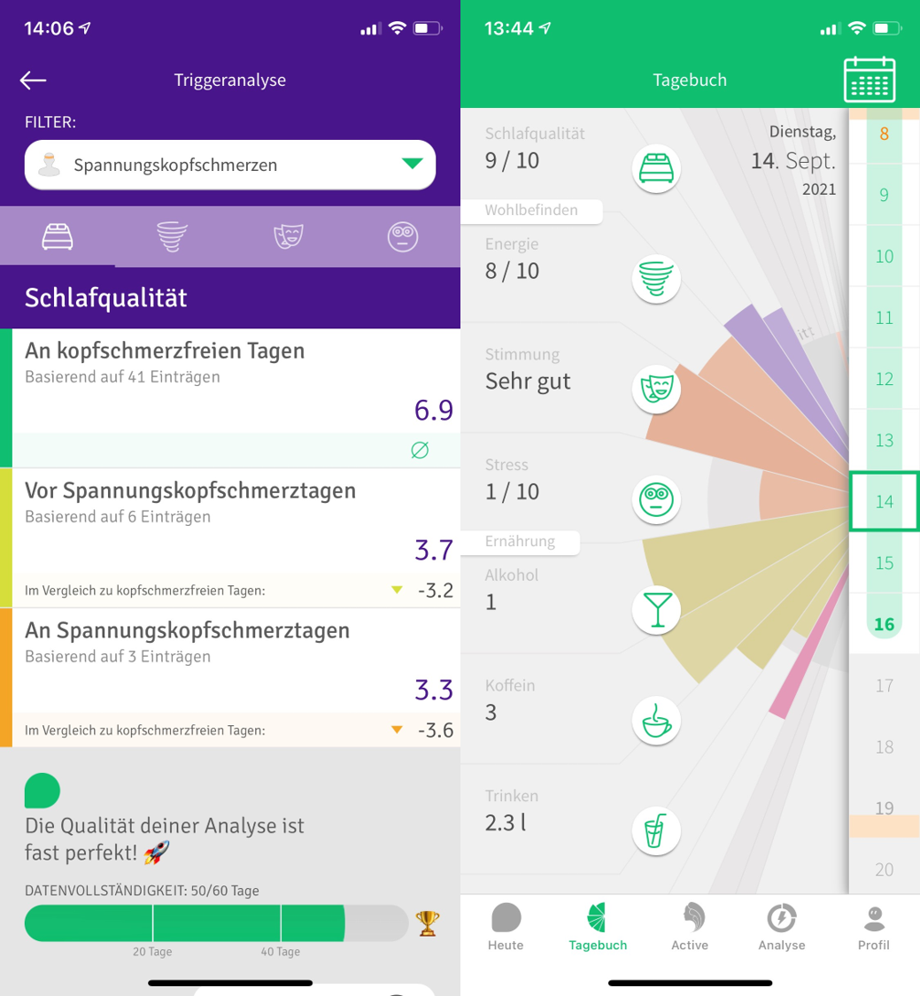 Darstellung aus der Migräne-App als Beispiel Ansicht Migräne App als Beispiel
