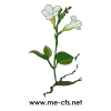 Hilfe zur Selbsthilfe und Hilfsmittel bei ME&CFS