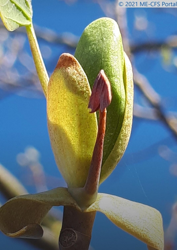 Let&#039;s talk about Sex: Im Gespräch mit Betroffenen (2)