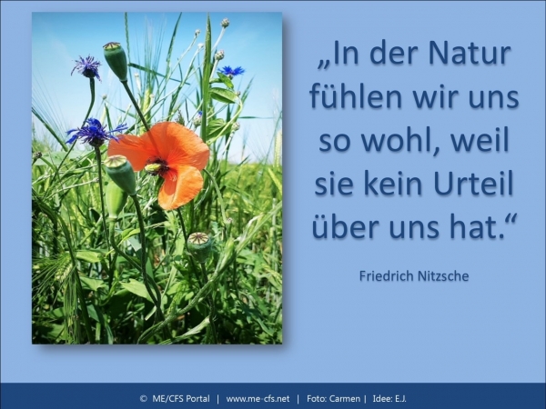 Und doch ist jeder anders - Des einen Freud, des anderen Leid???