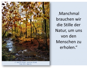 ME / CFS - Du hast es gut, kannst den ganzen Tag im Bett liegen...