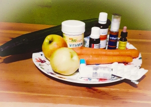 Warum Nahrungserg&auml;nzungsmittel und eine gesunde Ern&auml;hrung bei ME/CFS nicht au&szlig;er Acht gelassen werden sollten