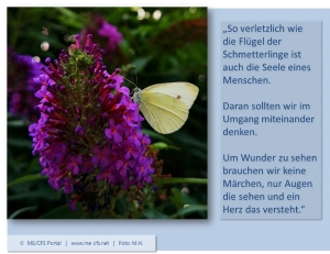 ME/CFS: Leben wie ein Schmetterling im K&auml;fig